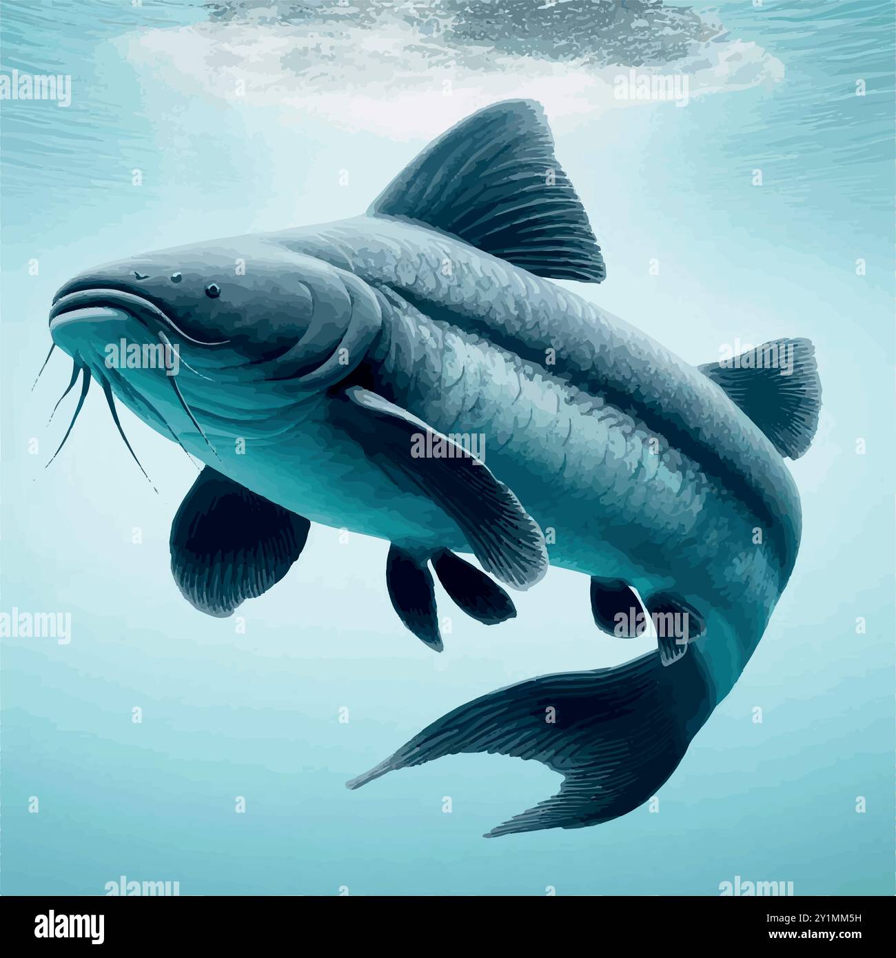 Piraíba pesce gatto: L'habitat e la vita di un gigante d'acqua dolce. Illustrazione Vettoriale