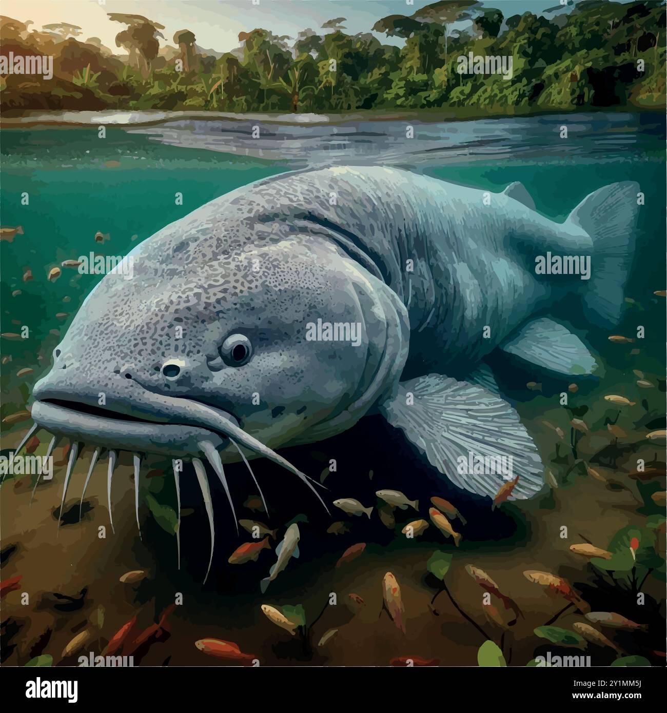 Svelare il pesce gatto Piraíba: Fatti sul Predatore amazzonico. Illustrazione Vettoriale