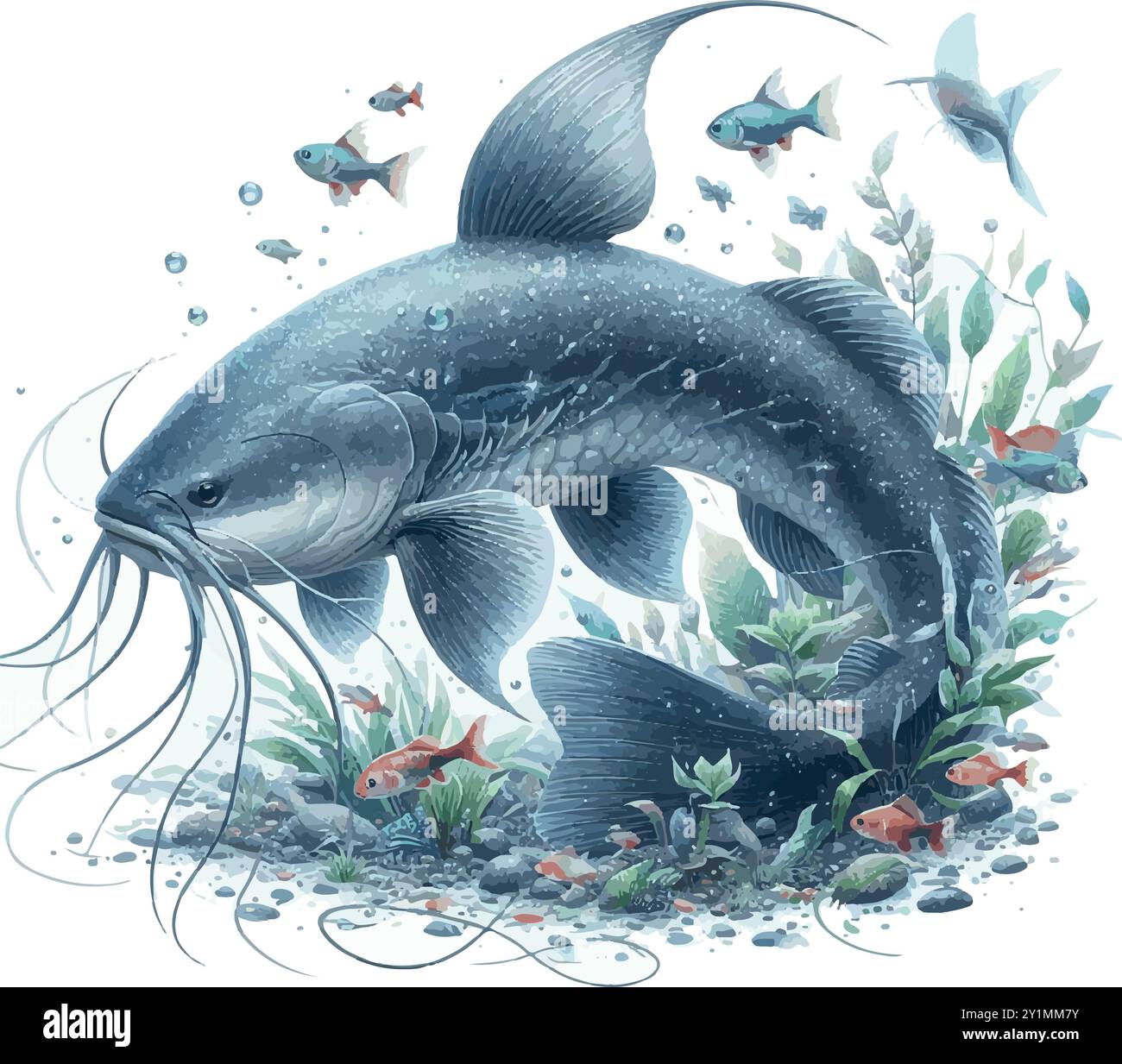 Il grande pesce gatto Piraíba: Un mostro fluviale come nessun altro. Illustrazione Vettoriale