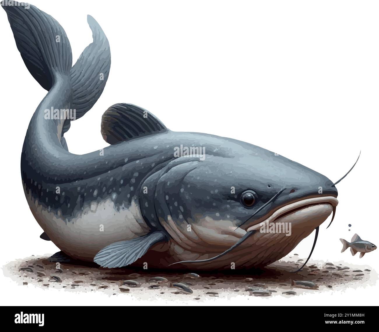 Pesca dei giganti: Pesca del pesce gatto Piraíba. Illustrazione Vettoriale