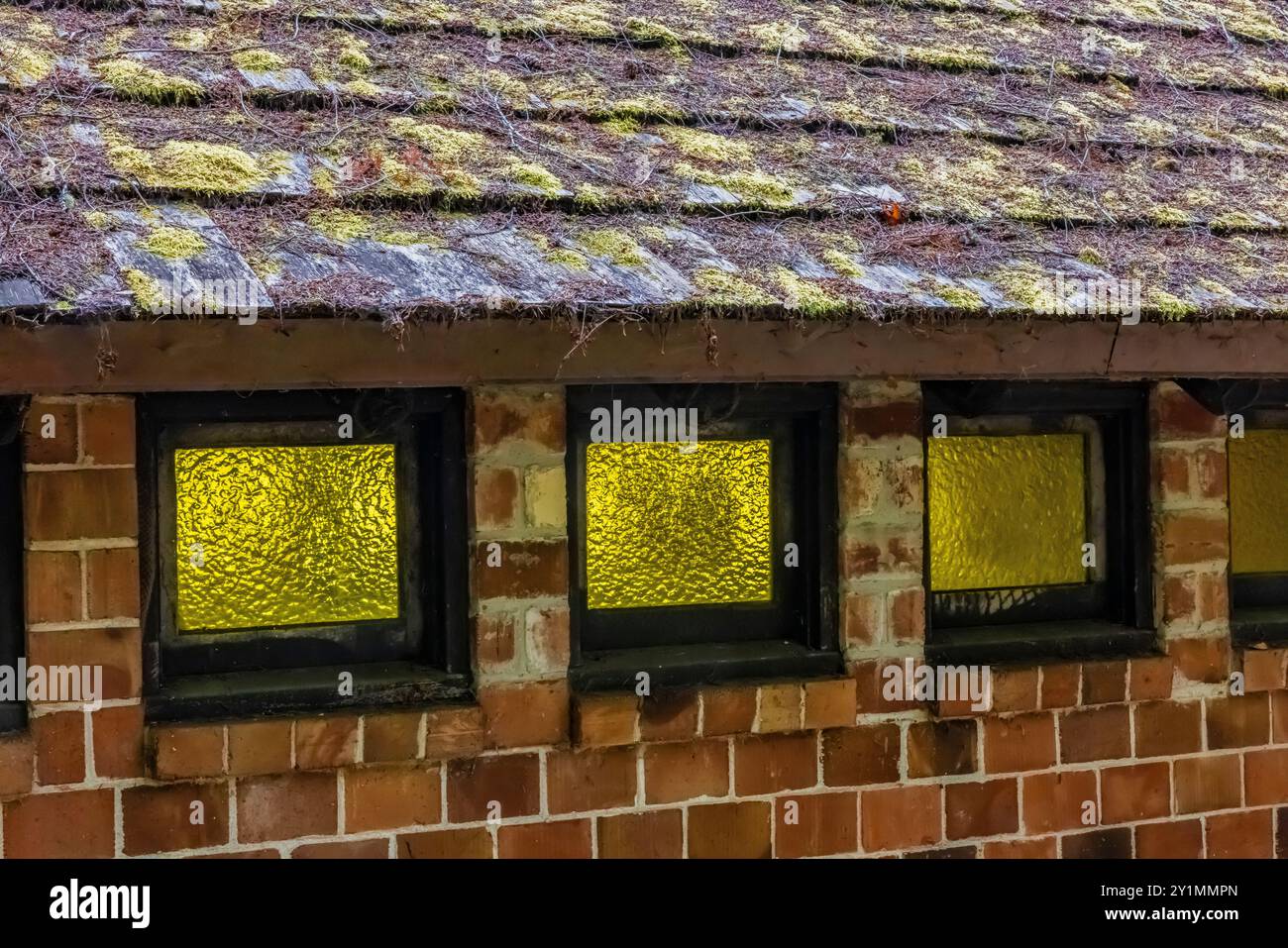 Bagno rustico in mattoni e tronchi costruito dal Civilian Conservation Corps negli anni '1930 nel Twanoh State Park, Washington State, USA Foto Stock