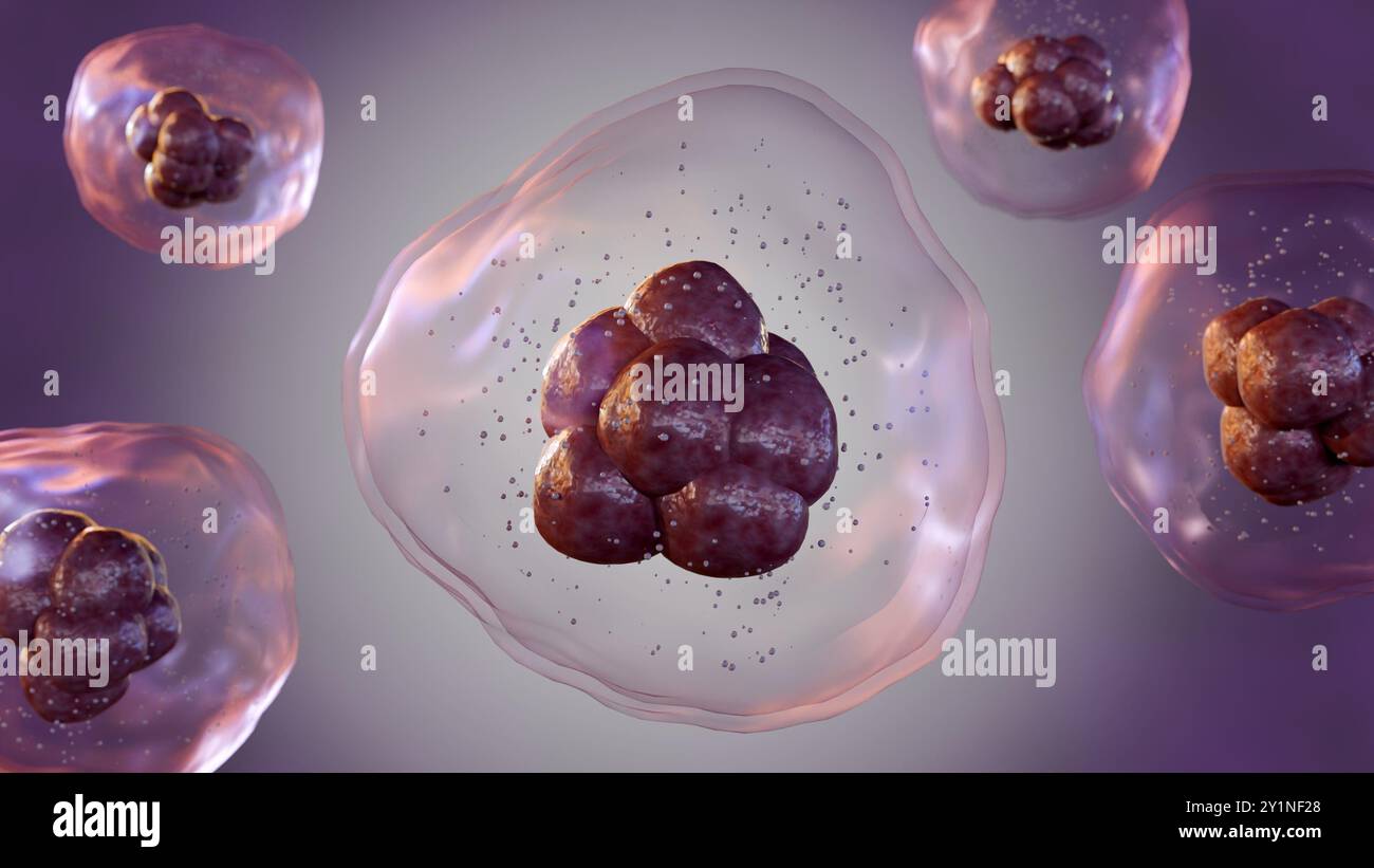 rendering 3d di una vista microscopica di più cellule, ciascuna circondata da una membrana traslucida e contenente strutture interne più piccole. Foto Stock