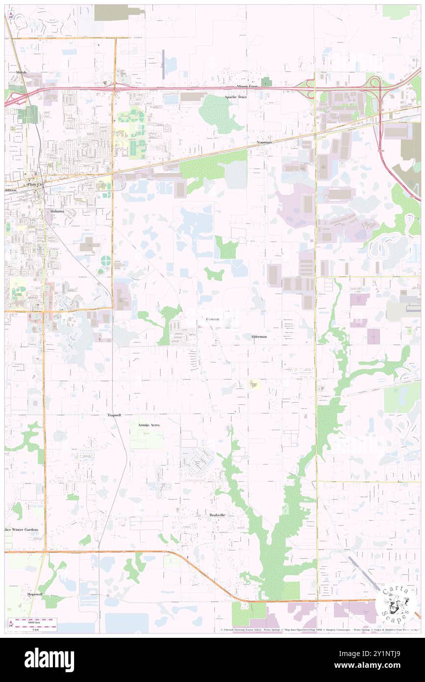 Coronet, Hillsborough County, Stati Uniti, Florida, N 27 59' 15''', S 82 4' 50''', mappa, Cartascapes Map pubblicata nel 2024. Esplora Cartascapes, una mappa che rivela i diversi paesaggi, culture ed ecosistemi della Terra. Viaggia attraverso il tempo e lo spazio, scoprendo l'interconnessione del passato, del presente e del futuro del nostro pianeta. Foto Stock