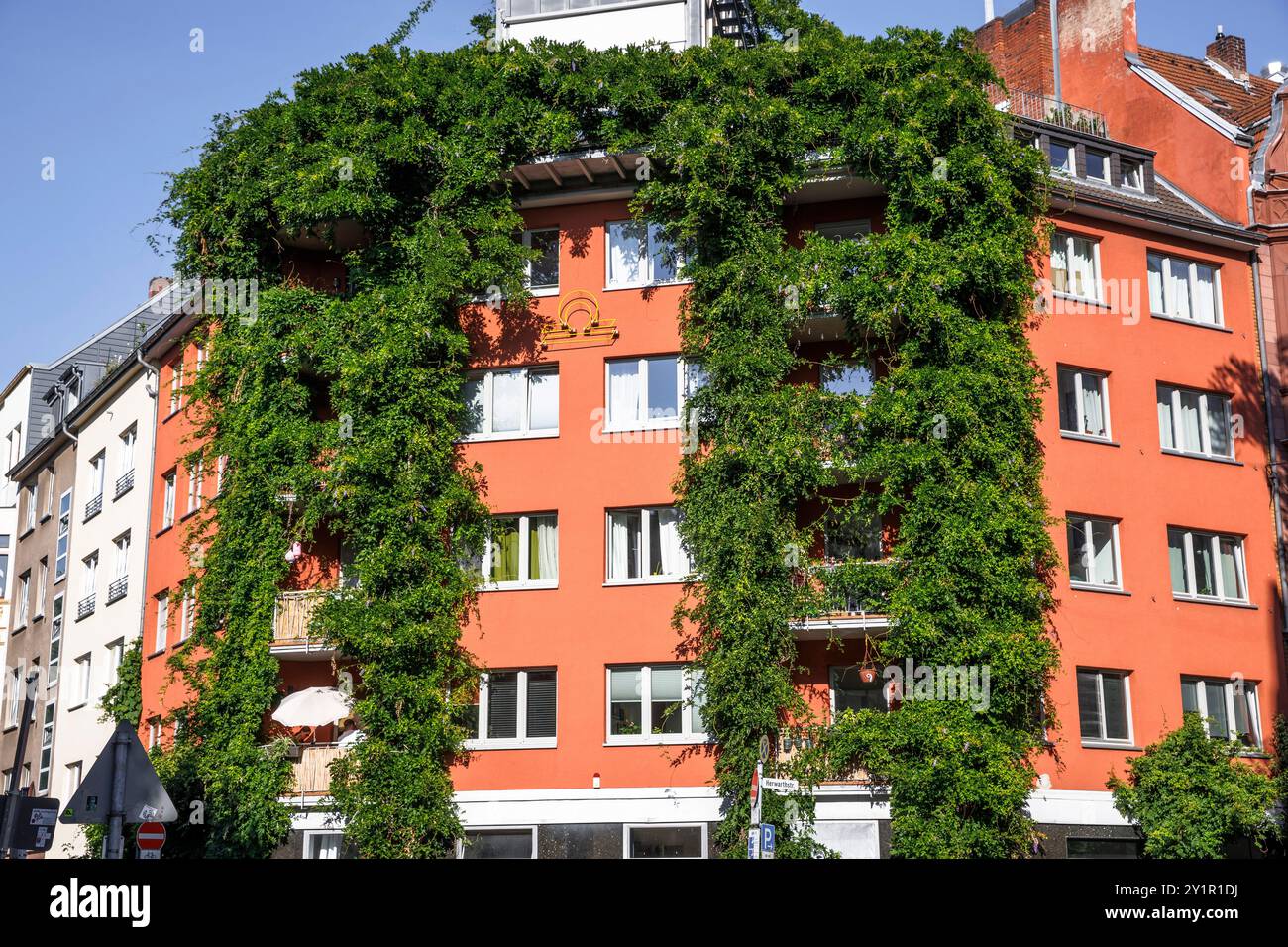 Con piante coperte casa su Werder Street, facciata verde, Colonia, Germania. Begruentes Haus in der Werderstrasse, Fassadenbegruenung, Koeln, Deutsc Foto Stock