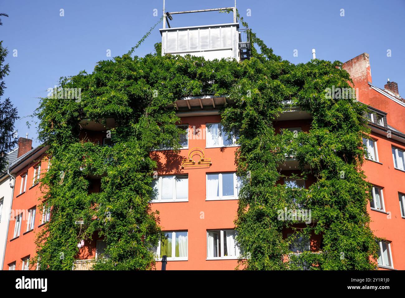 Con piante coperte casa su Werder Street, facciata verde, Colonia, Germania. Begruentes Haus in der Werderstrasse, Fassadenbegruenung, Koeln, Deutsc Foto Stock