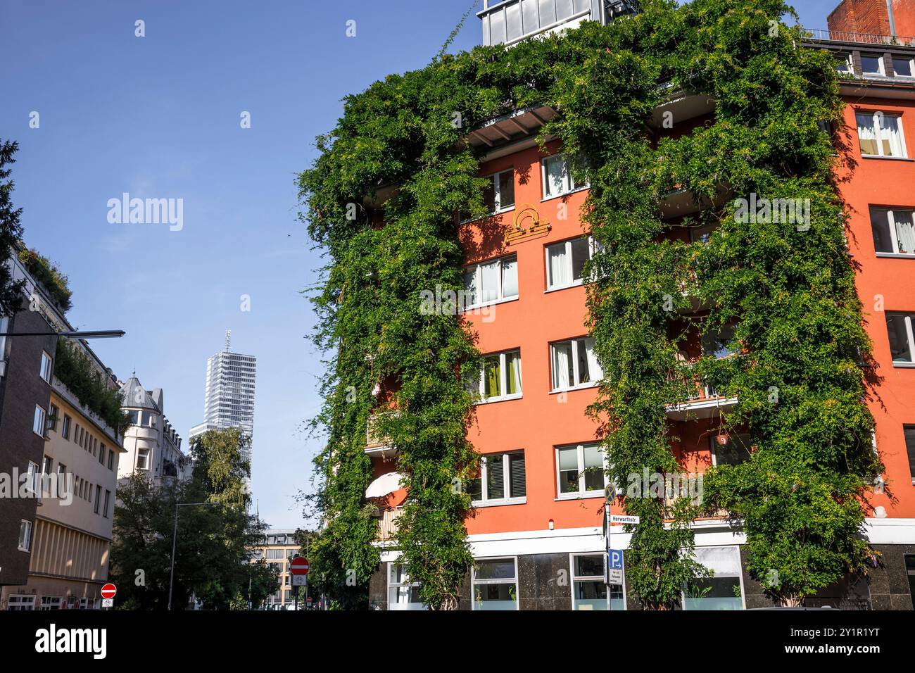 Con piante coperte casa su Werder Street, facciata verde, Colonia, Germania. Begruentes Haus in der Werderstrasse, Fassadenbegruenung, Koeln, Deutsc Foto Stock