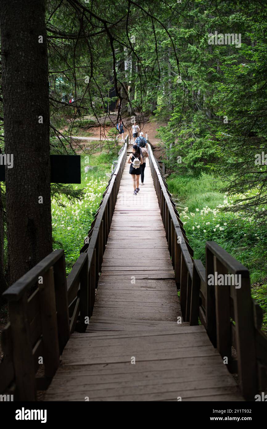 Sentiero forestale sul ponte di legno del Parco Durmitor. Foto Stock