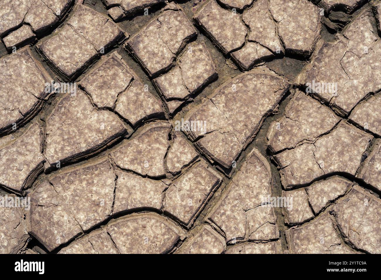 Terra incrinata senza un lungo periodo di pioggia. L'effetto del riscaldamento globale Foto Stock
