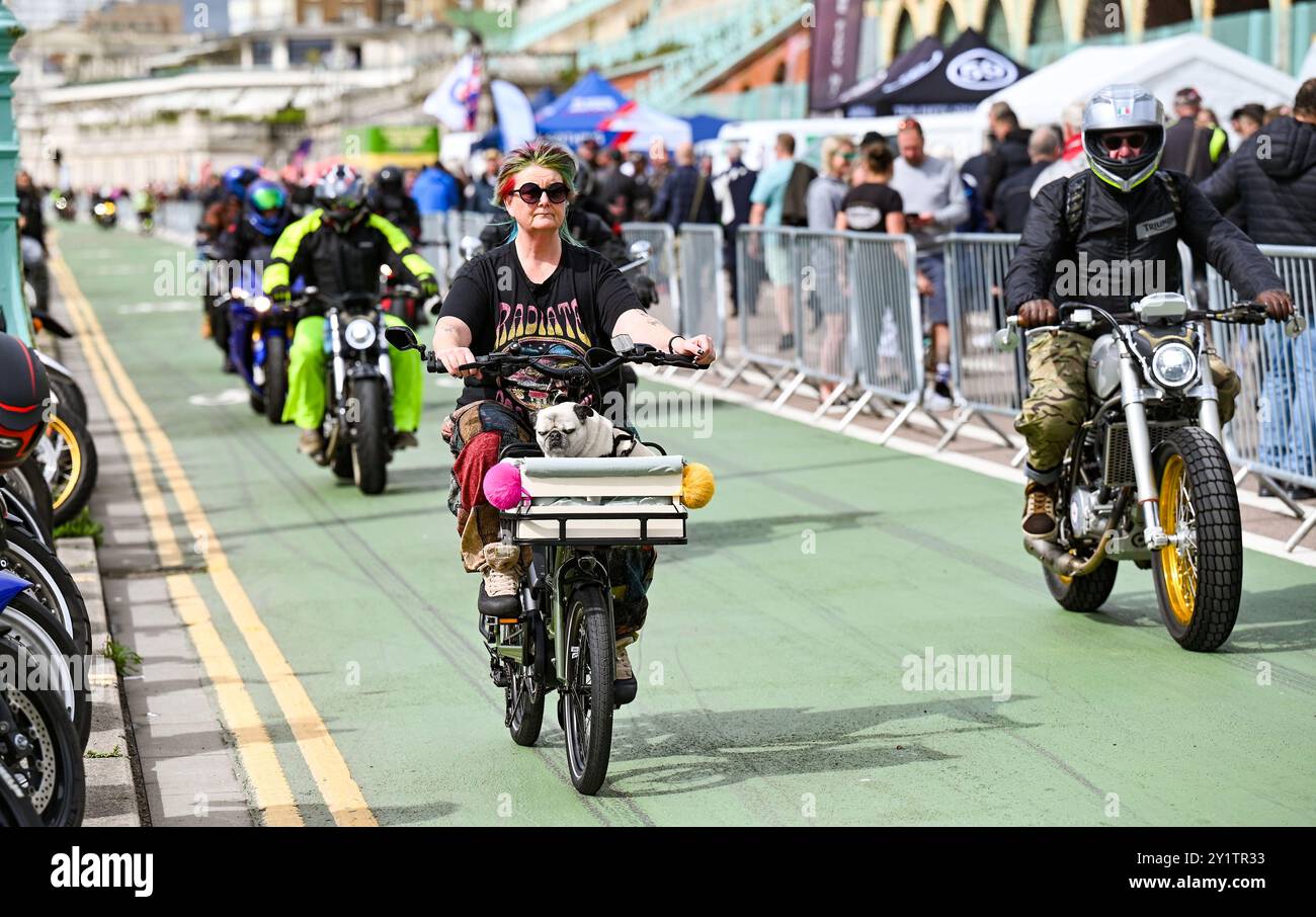 Brighton UK 8 settembre 2024 - Un ciclista con il suo cane nel cestino anteriore ha riunito centinaia di motociclisti e Rockers all'Ace Day Brighton Burn Up che fa parte del 30° anniversario dell'evento Ace Cafe Reunion che inizia a Londra e termina a Madeira Drive a Brighton . L'evento del fine settimana di 3 giorni celebra la storia e il patrimonio del famoso Ace Cafe a Londra 25 anni dopo la sua chiusura nel 1969 con la prima riunione che si tiene nel 1994 a Londra e a Brighton: Credit Simon Dack / Alamy Live News Foto Stock Brighton UK 8 settembre 2024 - Un ciclista con il suo cane nel cestino anteriore ha riunito centinaia di motociclisti e Rockers all'Ace Day Brighton Burn Up che fa parte del 30° anniversario dell'evento Ace Cafe Reunion che inizia a Londra e termina a Madeira Drive a Brighton . L'evento del fine settimana di 3 giorni celebra la storia e il patrimonio del famoso Ace Cafe a Londra 25 anni dopo la sua chiusura nel 1969 con la prima riunione che si tiene nel 1994 a Londra e a Brighton: Credit Simon Dack / Alamy Live News Foto Stock