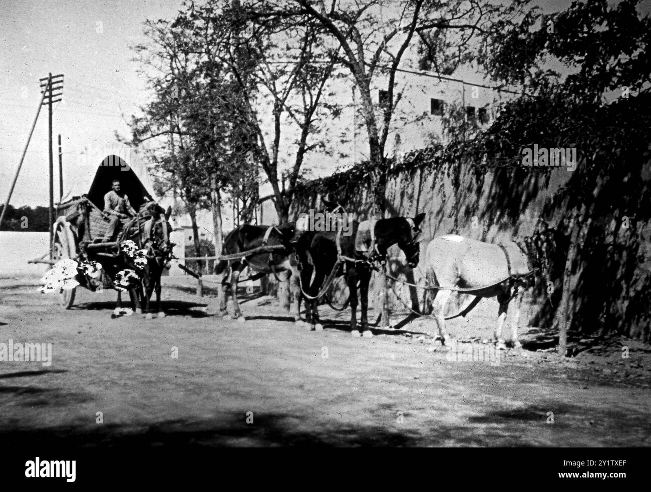 Siviglia, Spagna, 1926 Foto Stock