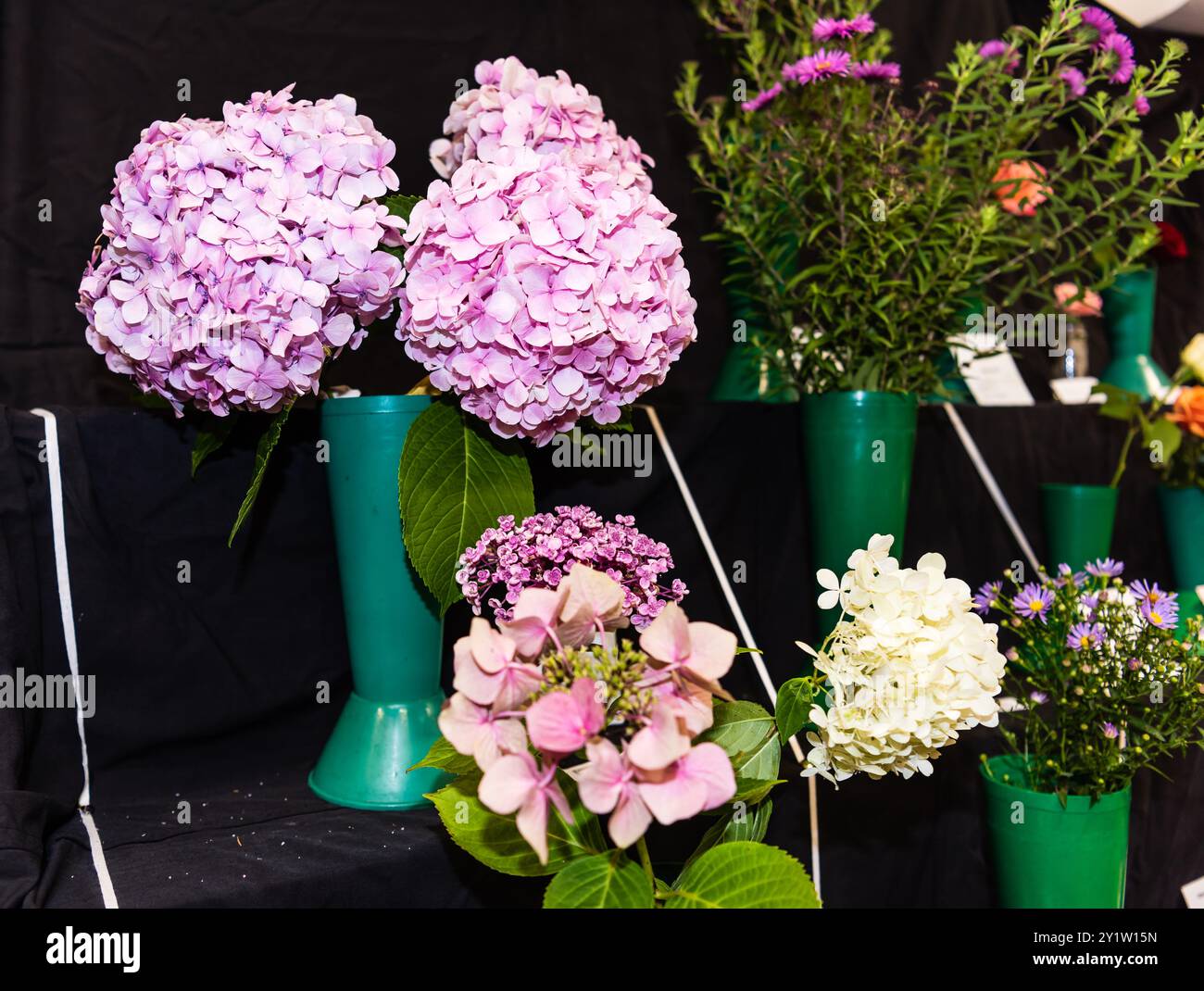 Spettacolo di fiori Otterton Village Hall. Foto Stock