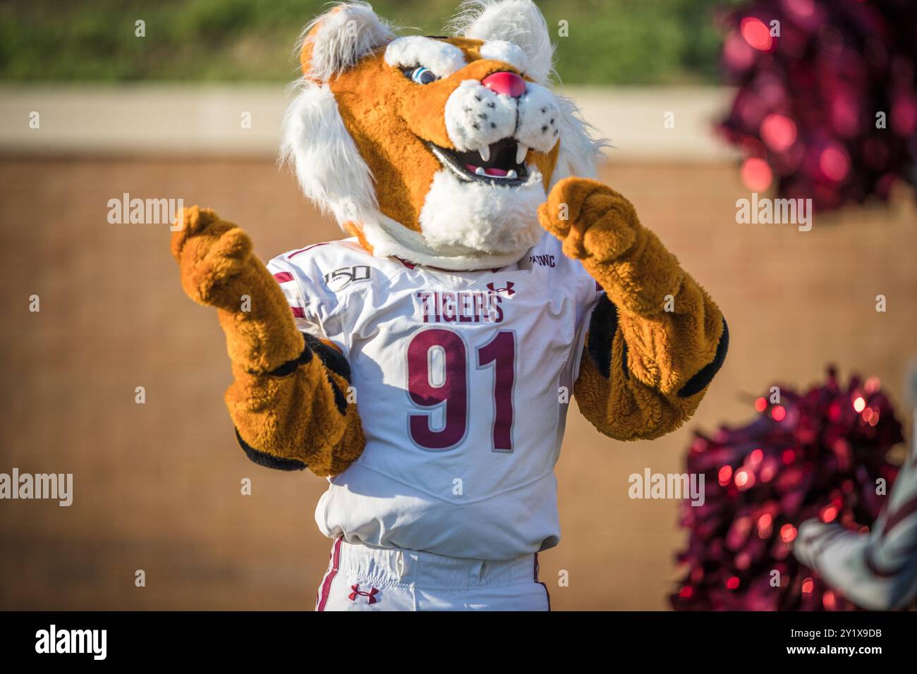 Houston, Texas, Stati Uniti. 7 settembre 2024. I Texas Southern Tigers ballarono le mascotte nella partita di football NCAA tra i Texas Southern University Tigers e i Rice Owls al Rice Stadium di Houston, Texas. Rice sconfisse Texas Southern 69-7. Prentice C. James/CSM/Alamy Live News Foto Stock