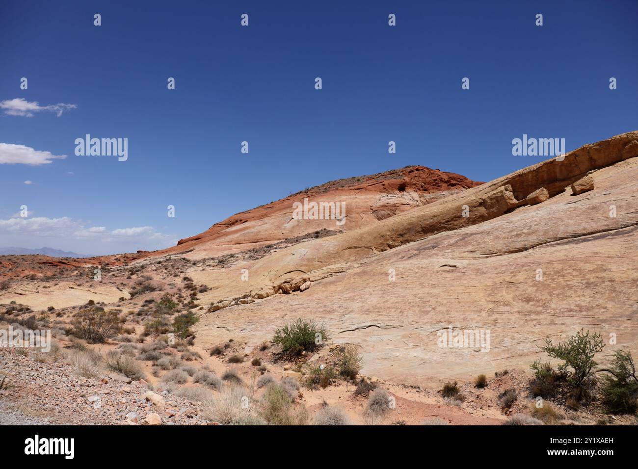 Paesaggio di rocce di arenaria azteche e macchia secca, nel deserto, nel Valley of Fire State Park, Nevada, Stati Uniti Foto Stock