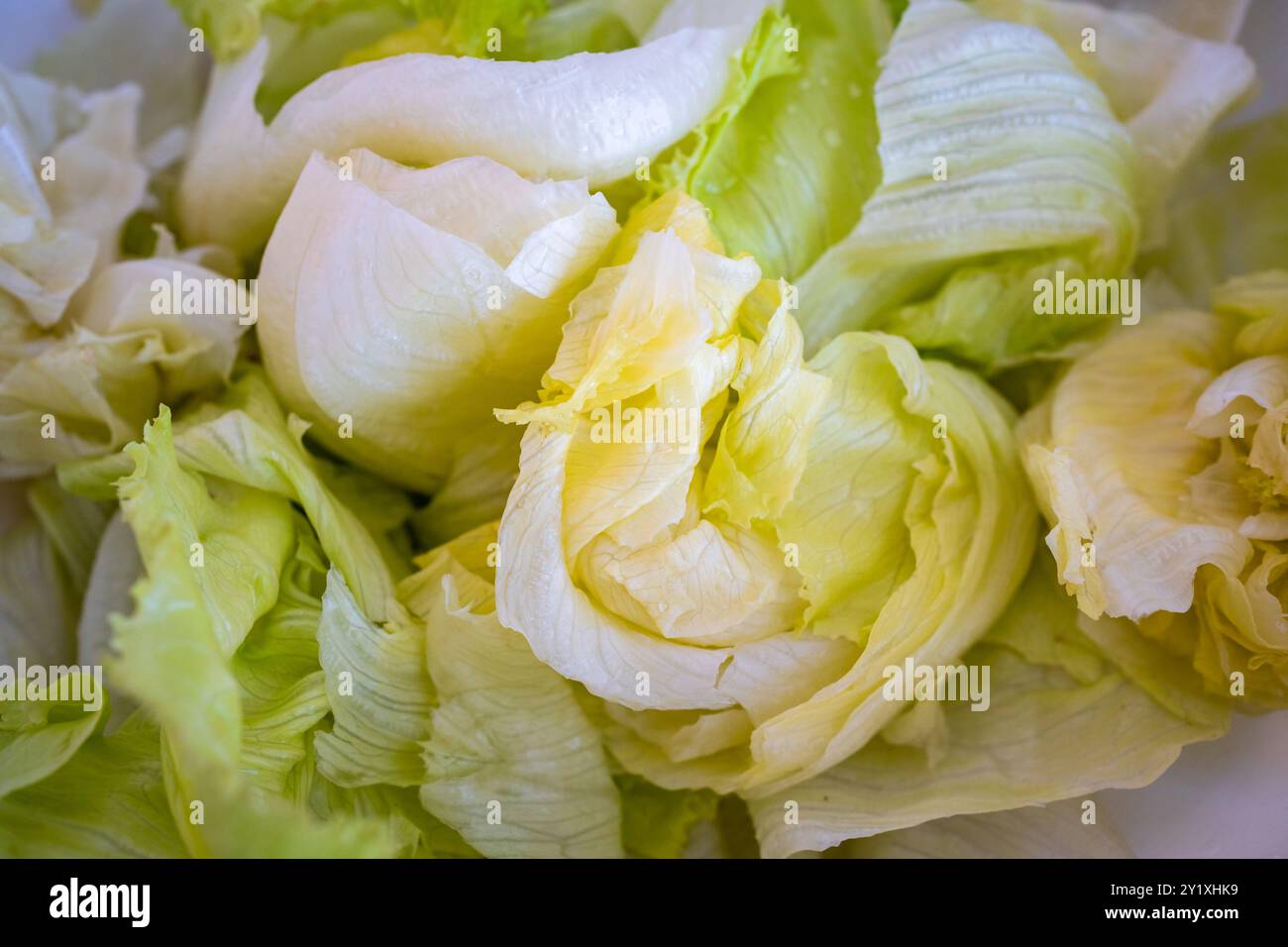 Un'insalata fresca dall'aspetto delizioso a base di lattuga iceberg viene servita in una ciotola bianca. Sembra molto salutare, rinfrescante e fresco. Foto Stock