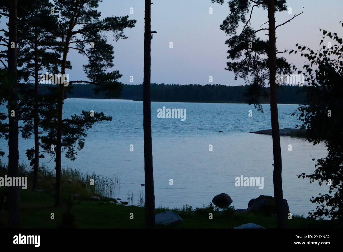 Mezzanotte al chiaro di luna vicino al Golfo di Finlandia nel sud della Finlandia, agosto 2024 Foto Stock