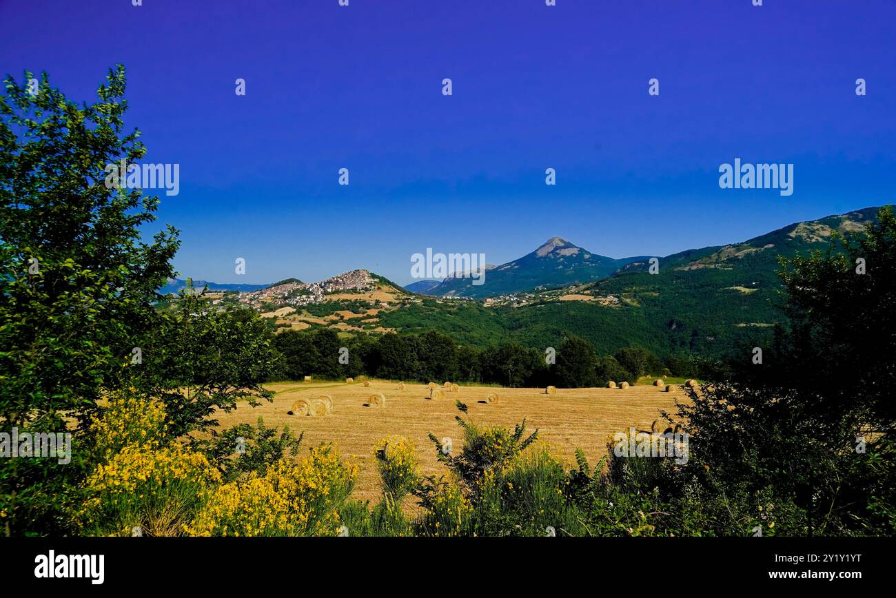 Grumentum, area echeologica dell'antica città romana, potenza, Basilicata, ​​the Italia Foto Stock