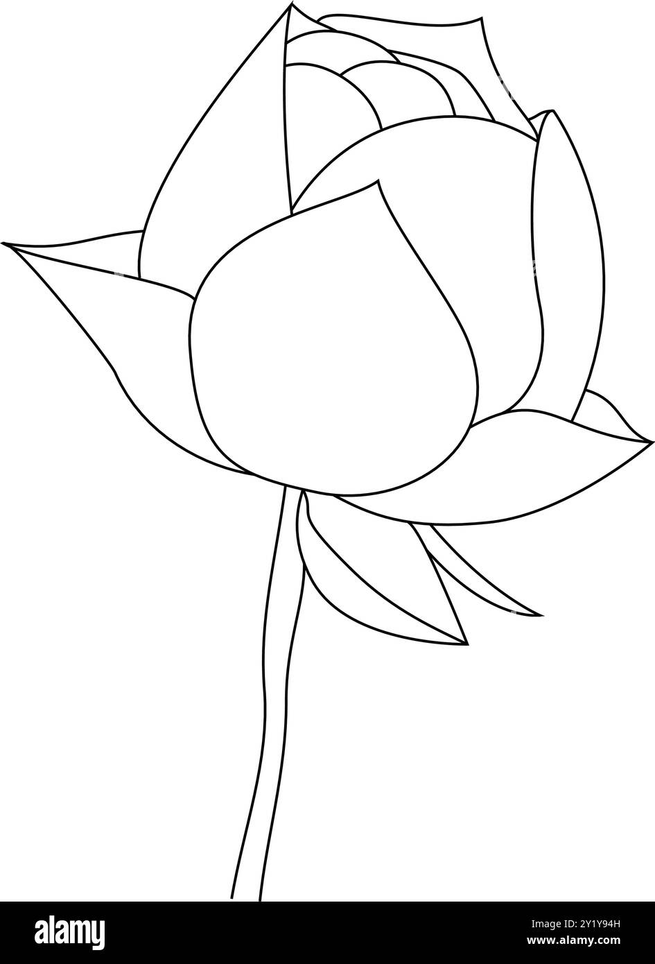 Fiore di loto in stile disegno a linee continue. Design lineare nero con ninfee isolato su sfondo bianco. Illustrazione vettoriale Illustrazione Vettoriale