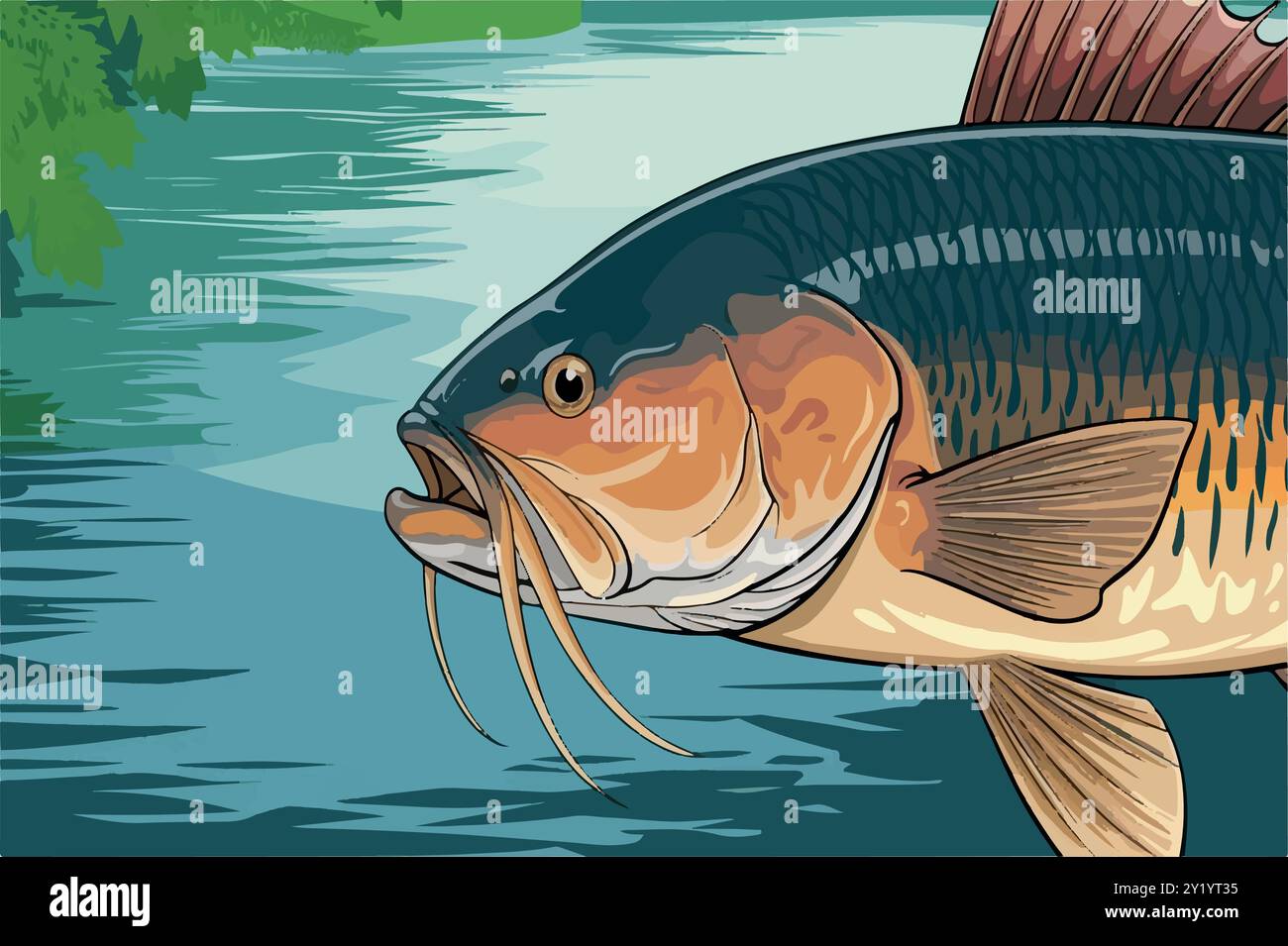 Re dell'acqua dolce: Piraíba Catfish Revealed. Illustrazione Vettoriale