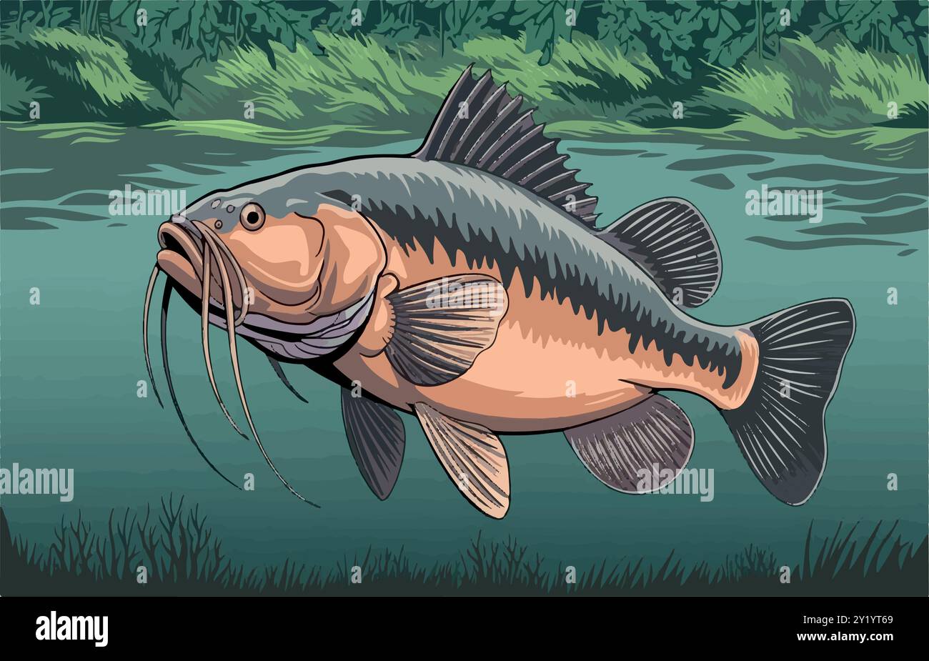 L’immensa Piraíba: Viaggio nelle profondità dell’Amazzonia. Illustrazione Vettoriale