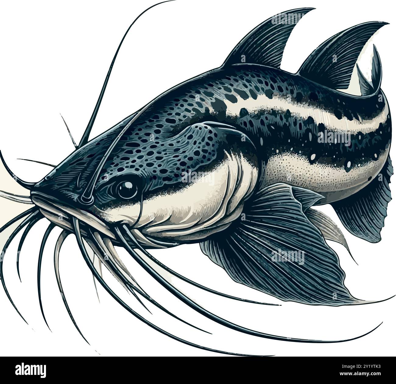 In The Shadows of Giants: The Piraíba Catfish. Illustrazione Vettoriale