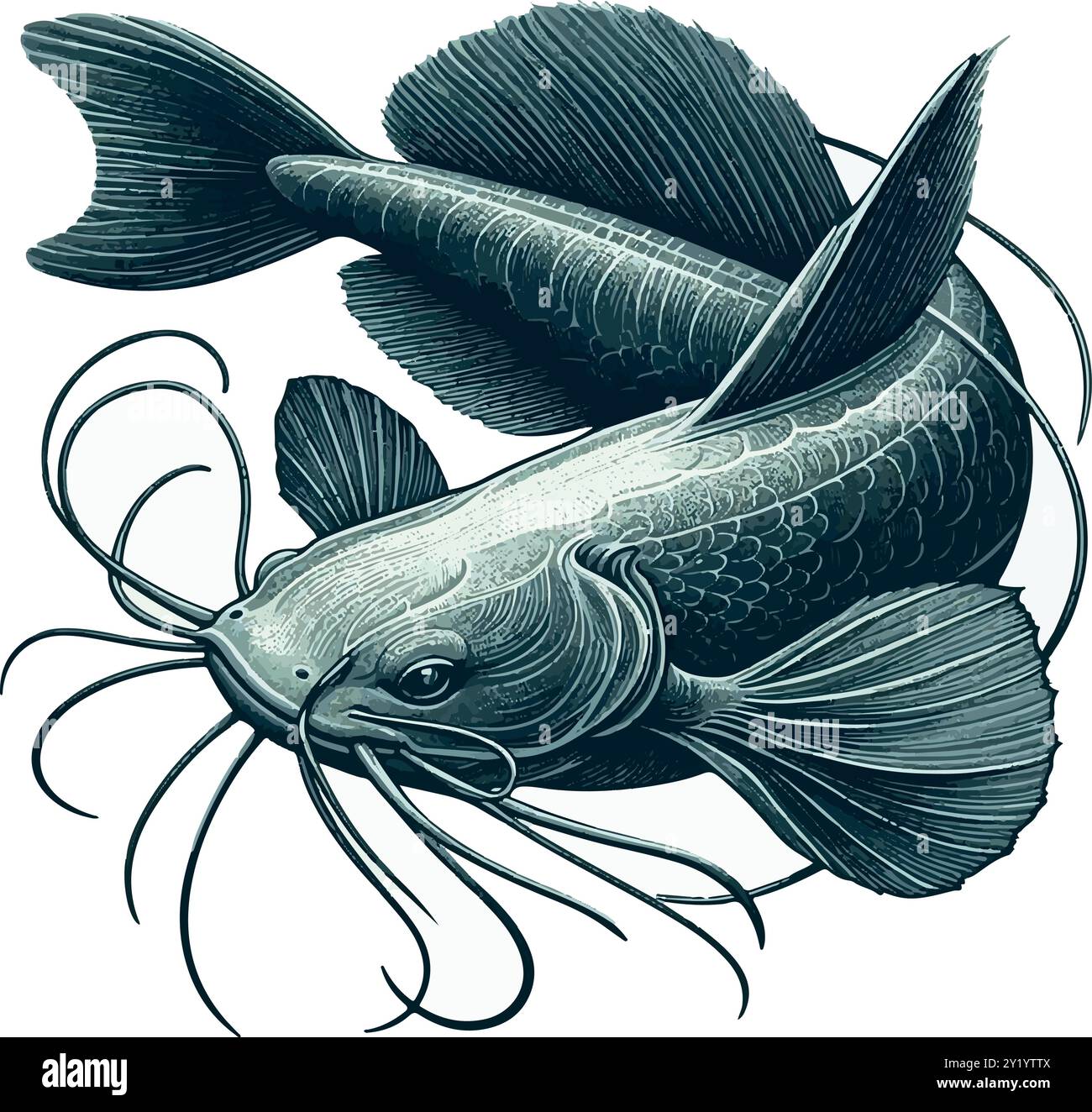 Piraíba: Il gigante nascosto dell'Amazzonia. Illustrazione Vettoriale