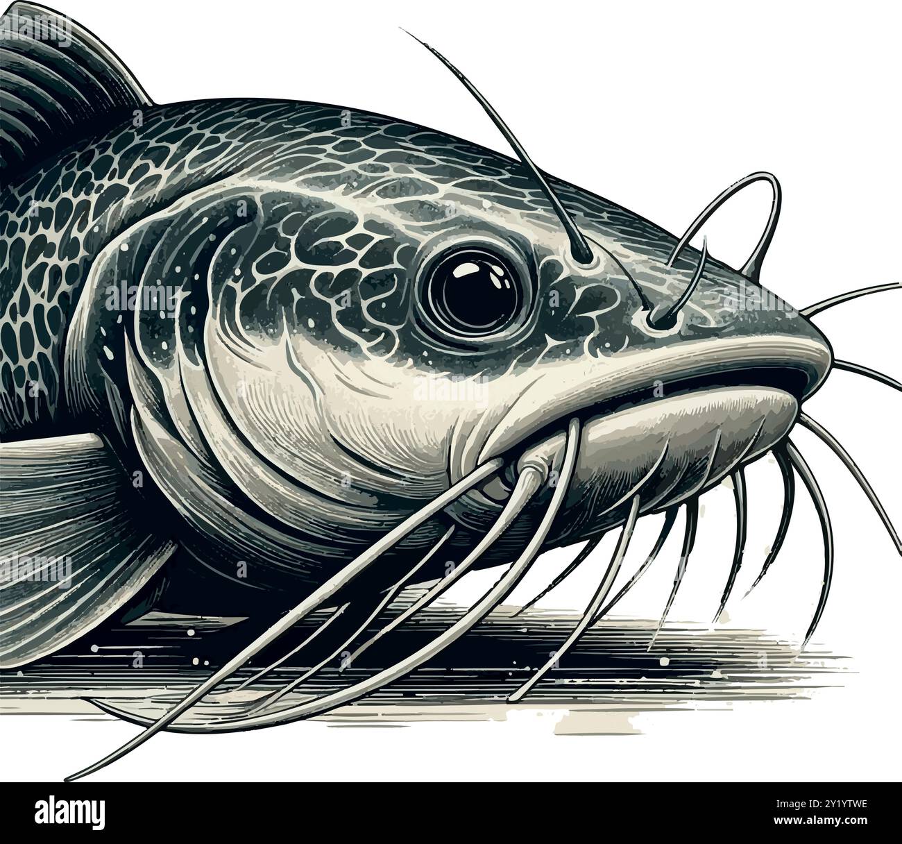 Alla ricerca del Piraíba, re dell'Amazzonia. Illustrazione Vettoriale