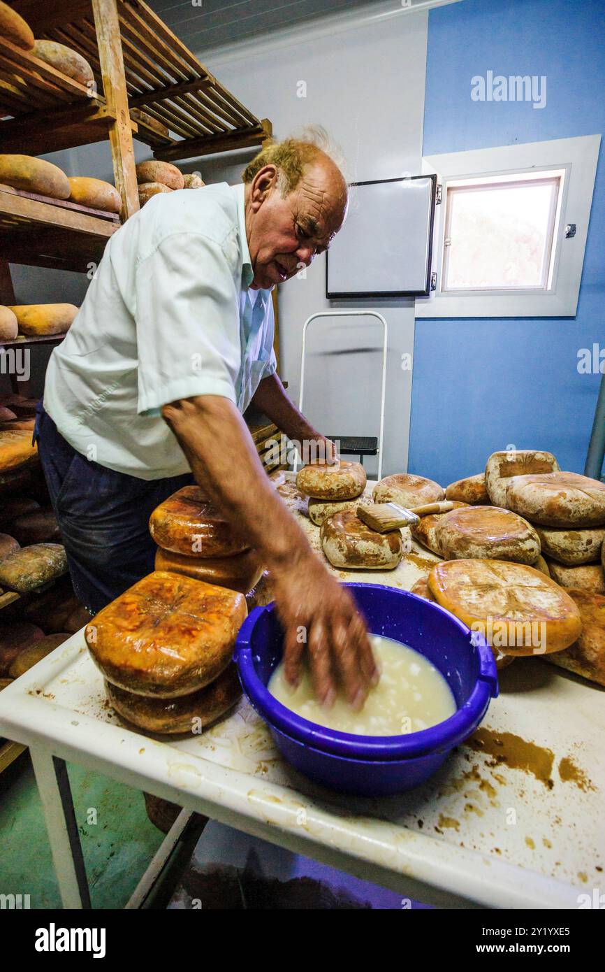 Mahon produzione di formaggi artigianali, denominazione di origine Alcaiduset, Alaior, Minorca, Isole Baleari, Spagna, Europa. Foto Stock