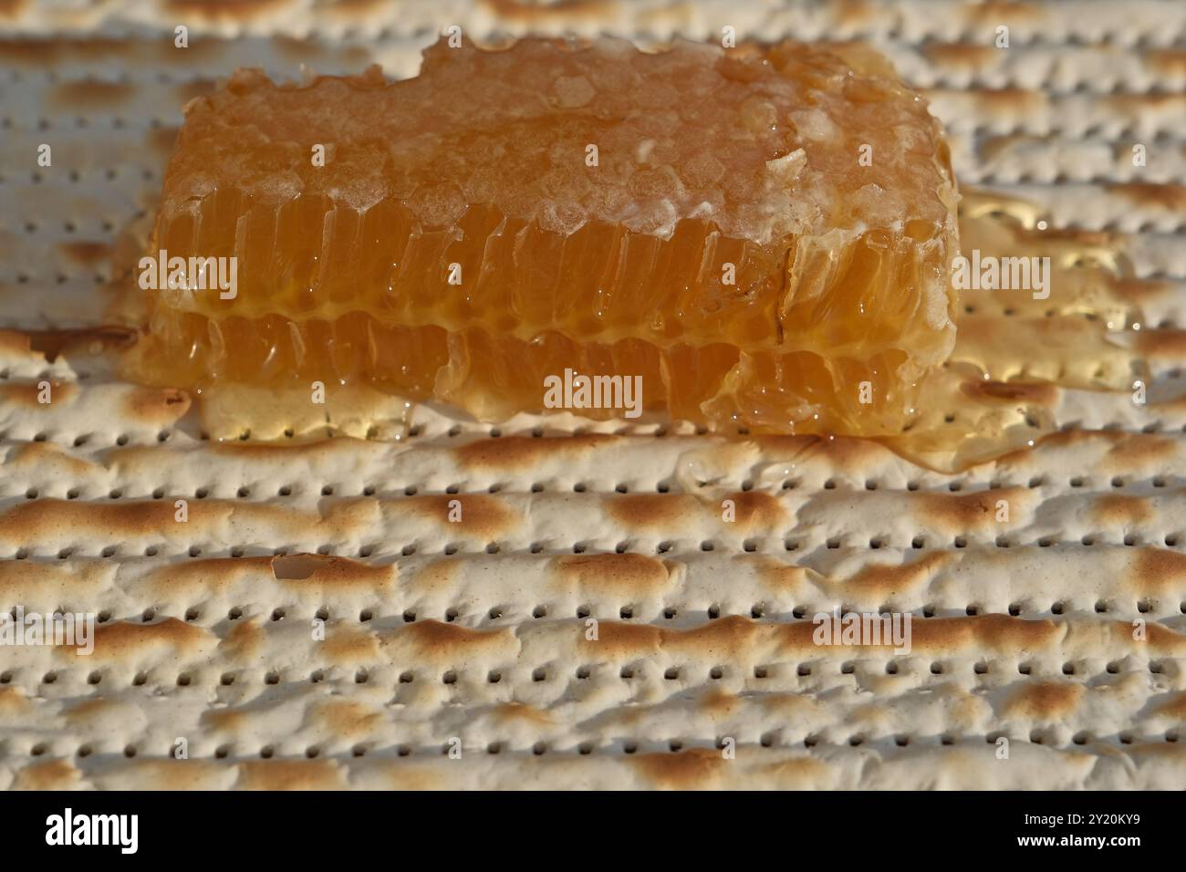 Matzah ebraica con miele e favo, foto ravvicinata Foto Stock