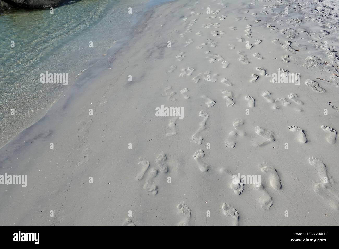 Un gruppo di impronte sulla sabbia lungo una spiaggia. Foto Stock