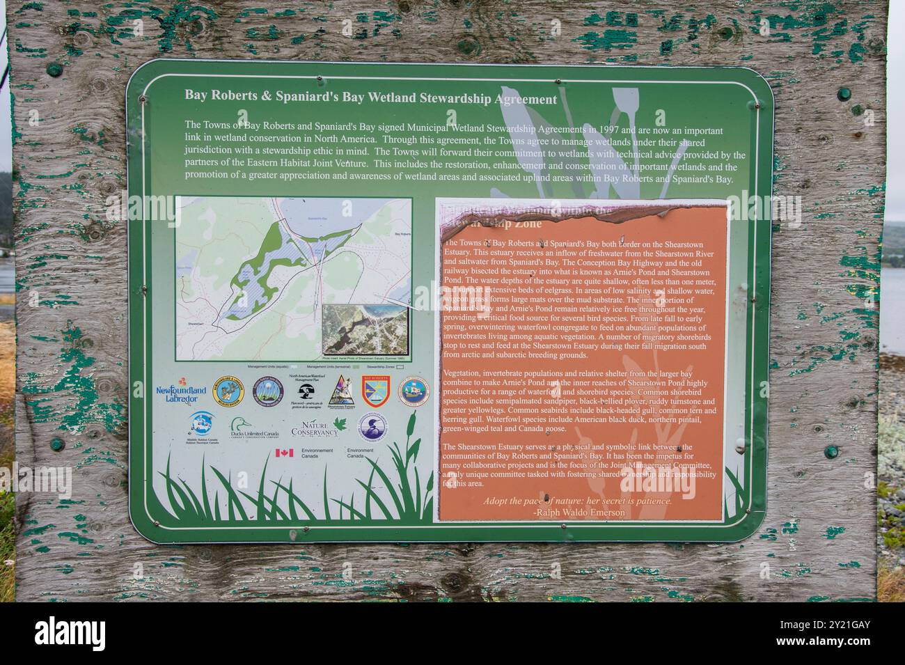 Firma dell'accordo di gestione delle zone umide a Spaniard's Bay, Newfoundland & Labrador, Canada Foto Stock