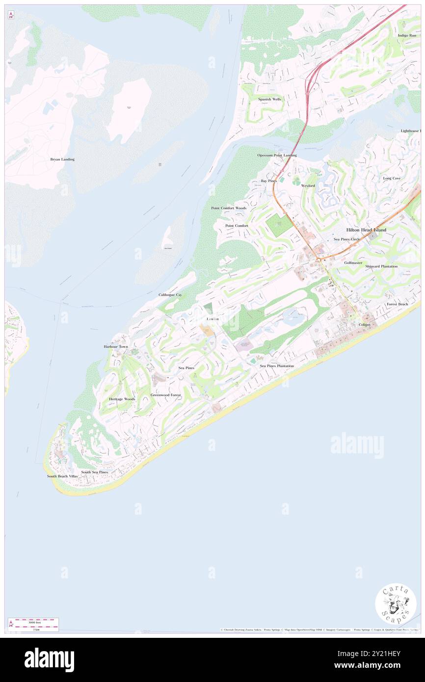 Lawton, Beaufort County, Stati Uniti, Stati Uniti, Carolina del Sud, N 32 8' 36'', S 80 47' 18'', MAP, Cartascapes Map pubblicata nel 2024. Esplora Cartascapes, una mappa che rivela i diversi paesaggi, culture ed ecosistemi della Terra. Viaggia attraverso il tempo e lo spazio, scoprendo l'interconnessione del passato, del presente e del futuro del nostro pianeta. Foto Stock