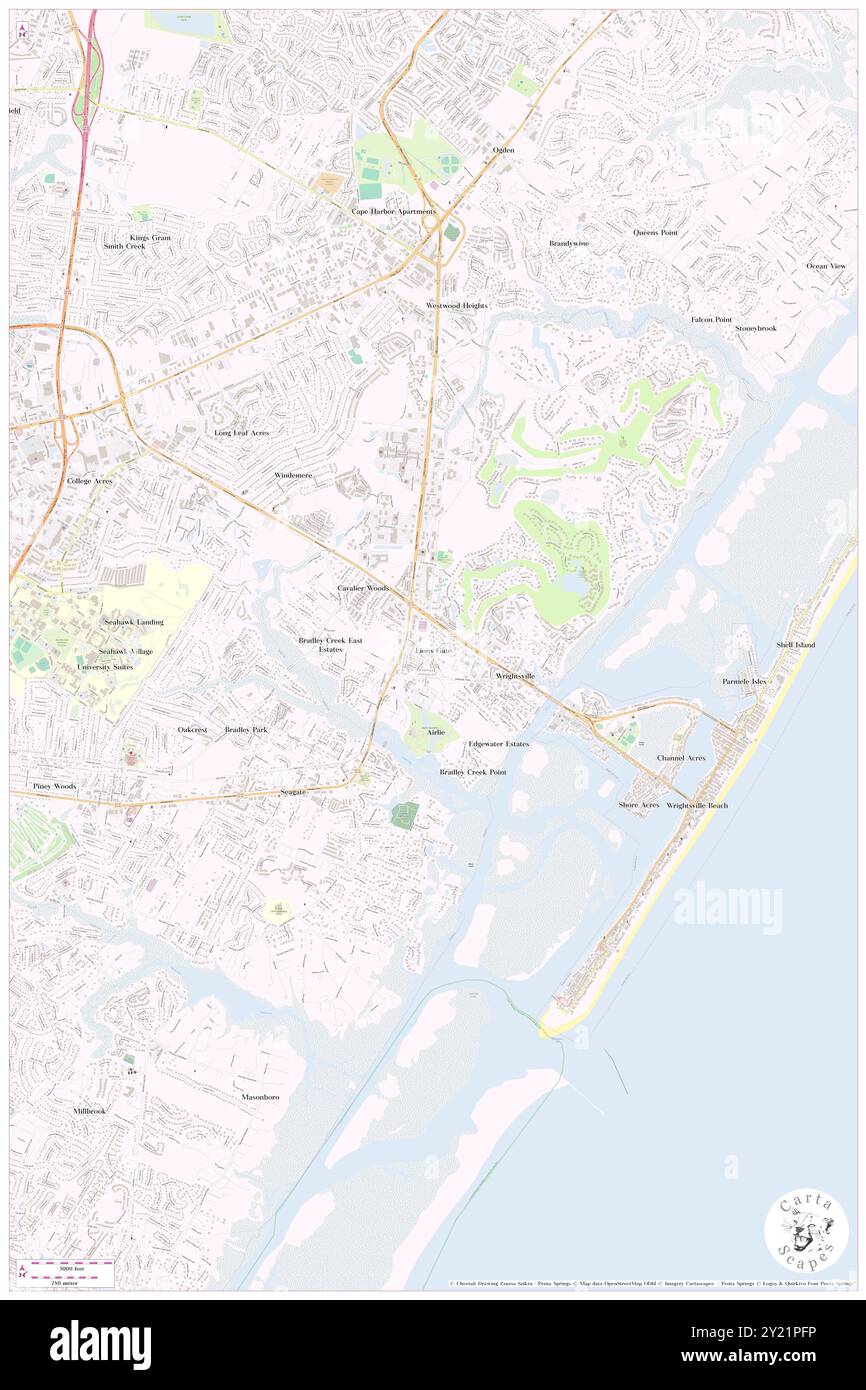 Lions Gate, New Hanover County, Stati Uniti, Carolina del Nord, N 34 13' 23'', S 77 49' 36'', MAP, Cartascapes Map pubblicata nel 2024. Esplora Cartascapes, una mappa che rivela i diversi paesaggi, culture ed ecosistemi della Terra. Viaggia attraverso il tempo e lo spazio, scoprendo l'interconnessione del passato, del presente e del futuro del nostro pianeta. Foto Stock