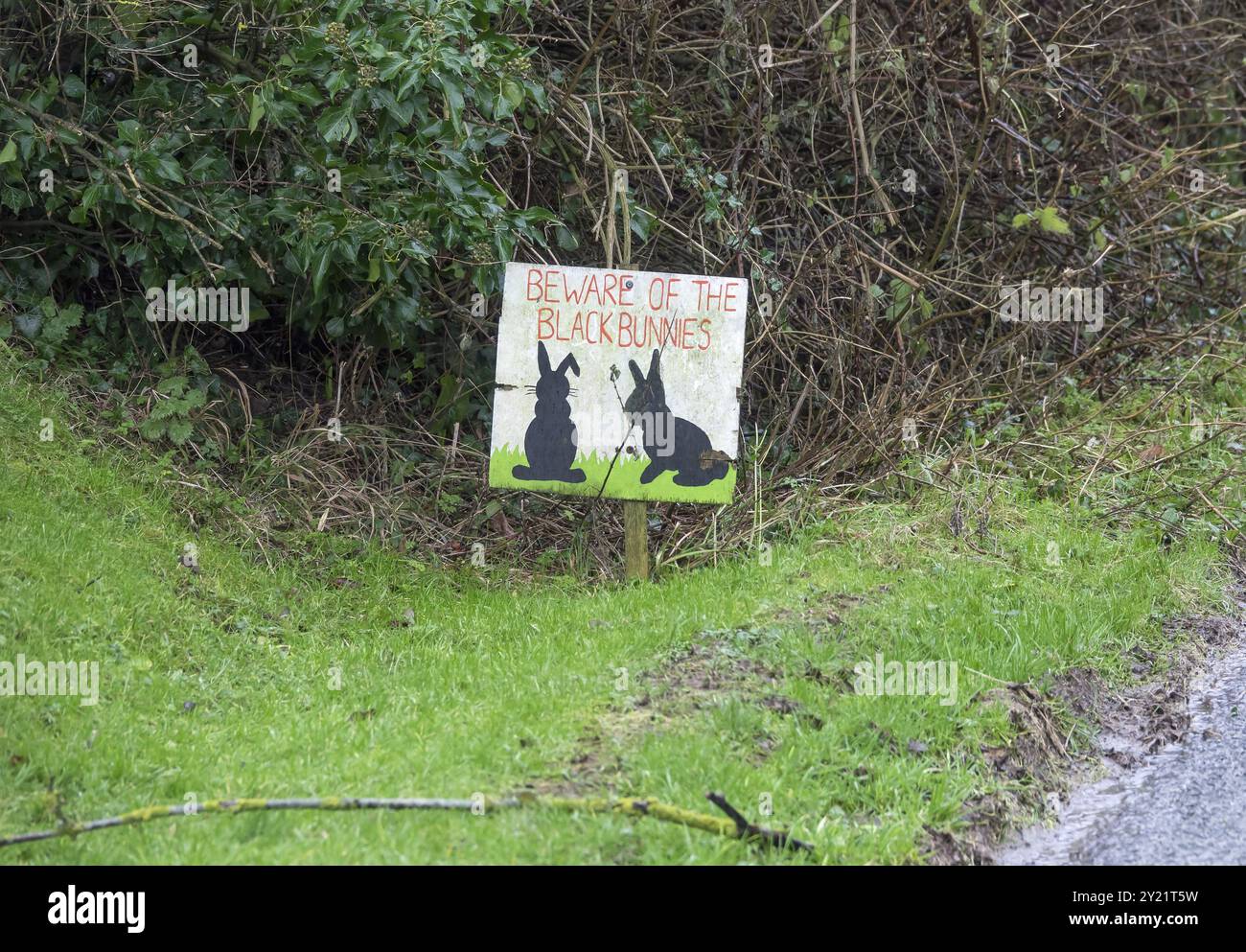 Segui le indicazioni stradali su Grass Verge in Milton Street, East Sussex, avvertendo i conducenti di fare attenzione ai conigli neri Foto Stock