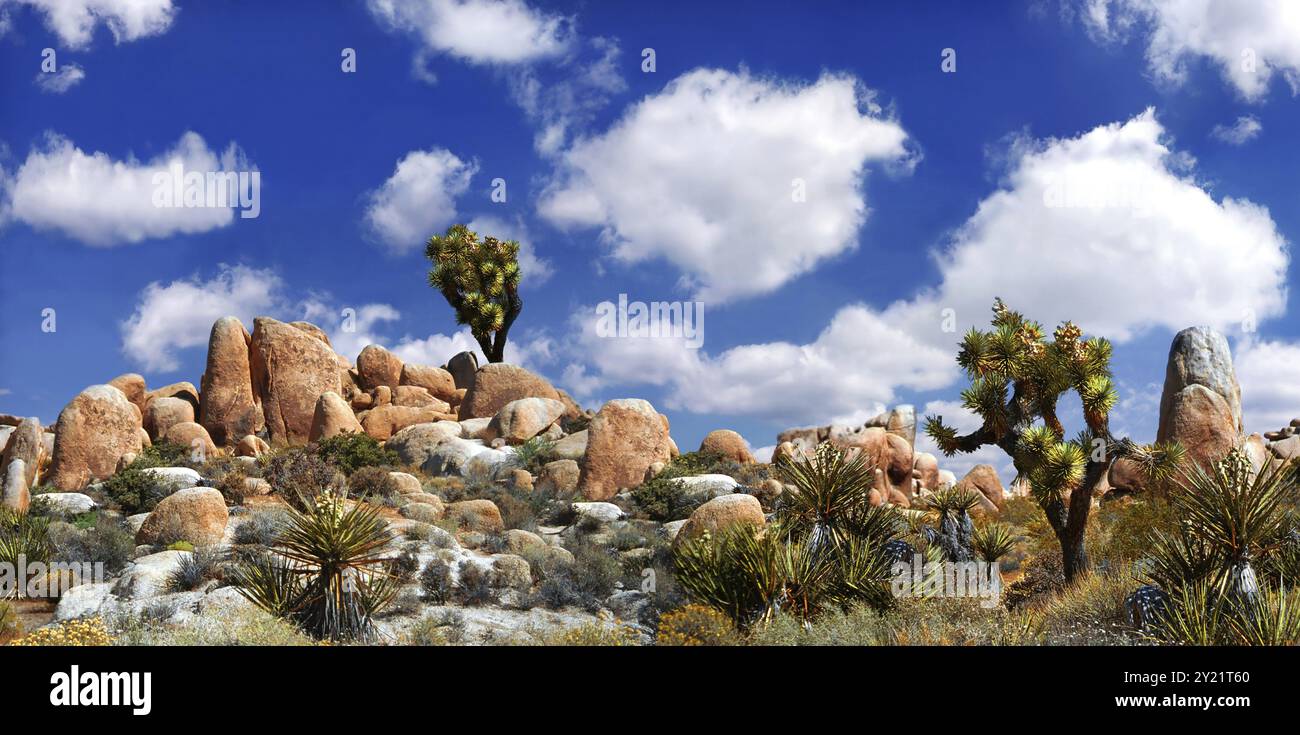 Joshua Tree National Monument Kalifornien, Stati Uniti, Nord America Foto Stock