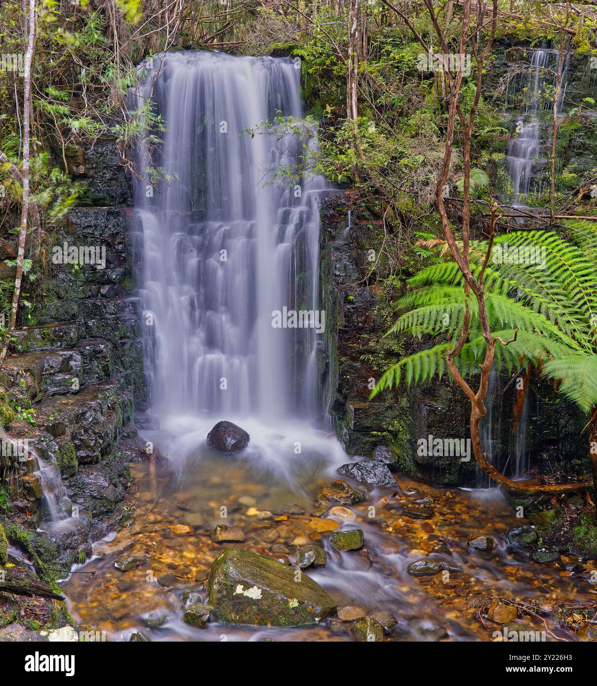 O'Grady's Falls Cascade Whitewater Rapid creek River Hobart rivulet, Mount Wellington, Hobart, Tasmania, Australia Foto Stock