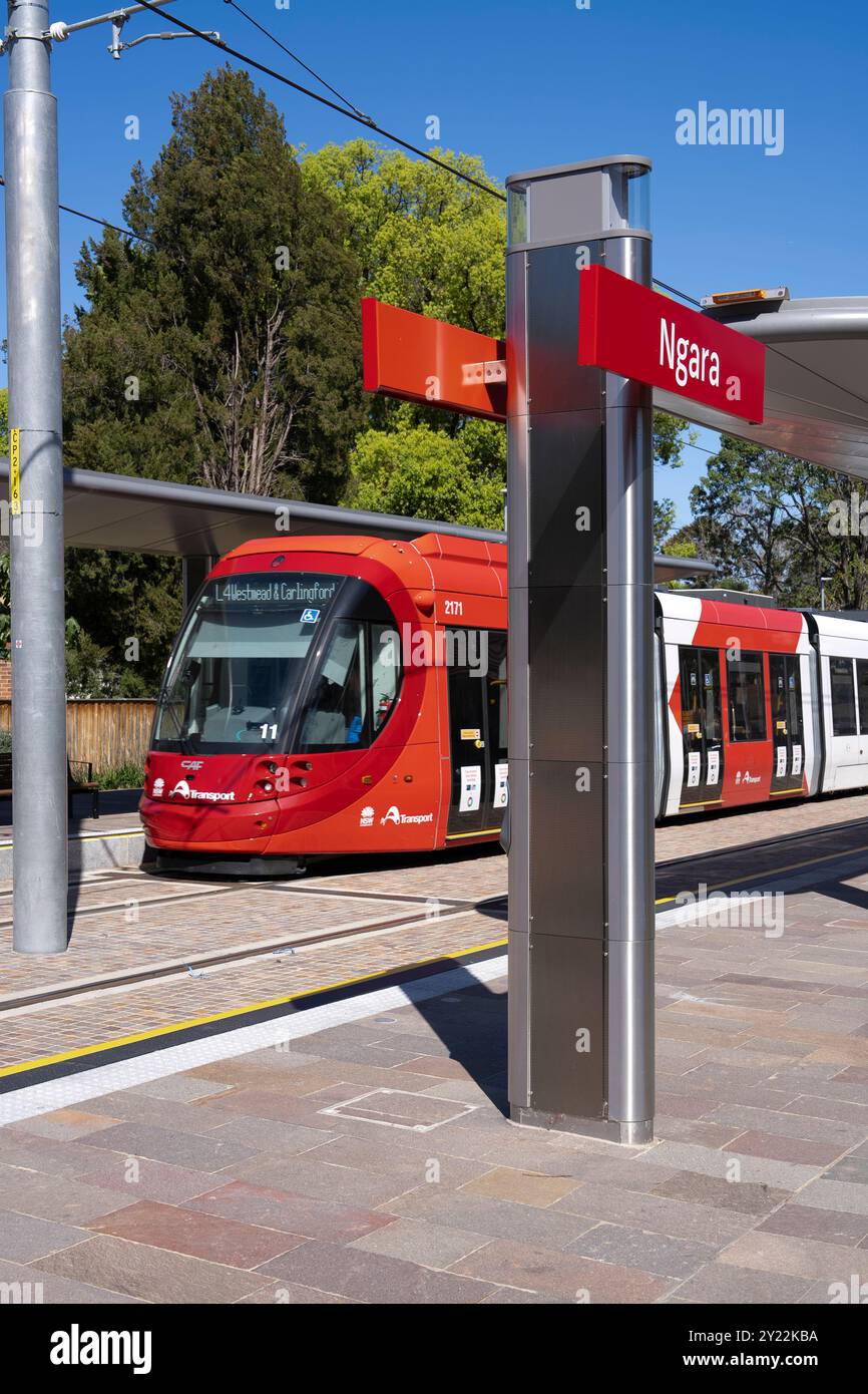 Stazione del tram di Ngara nell'ospedale di Cumberland Foto Stock