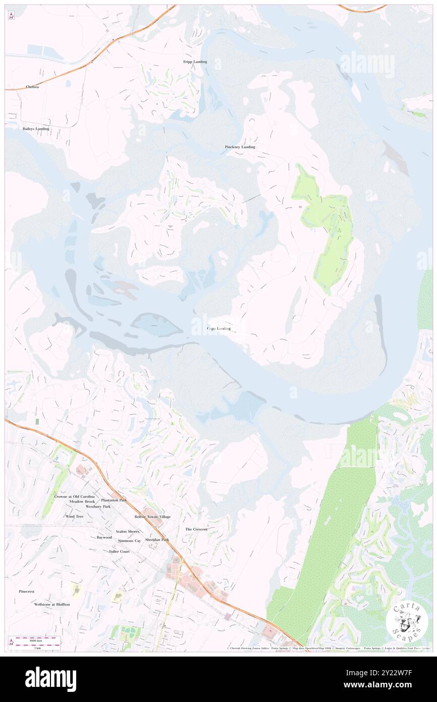 Copp Landing, Beaufort County, Stati Uniti, Carolina del Sud, N 32 18' 22'', S 80 50' 39'', MAP, Cartascapes Map pubblicata nel 2024. Esplora Cartascapes, una mappa che rivela i diversi paesaggi, culture ed ecosistemi della Terra. Viaggia attraverso il tempo e lo spazio, scoprendo l'interconnessione del passato, del presente e del futuro del nostro pianeta. Foto Stock