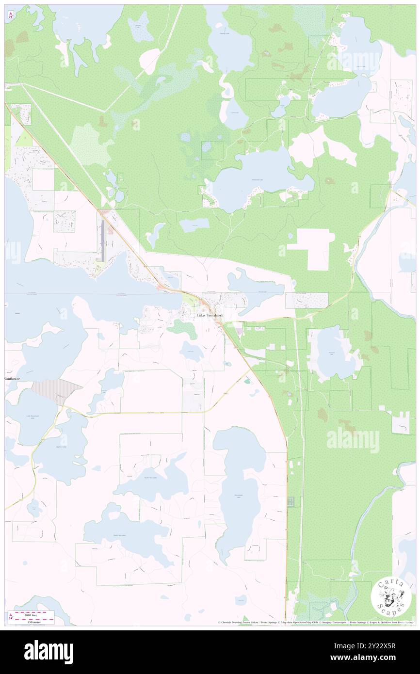 Lake Tomahawk, Oneida County, Stati Uniti, Wisconsin, N 45 48' 50'', S 89 35' 37'', MAP, Cartascapes Map pubblicata nel 2024. Esplora Cartascapes, una mappa che rivela i diversi paesaggi, culture ed ecosistemi della Terra. Viaggia attraverso il tempo e lo spazio, scoprendo l'interconnessione del passato, del presente e del futuro del nostro pianeta. Foto Stock