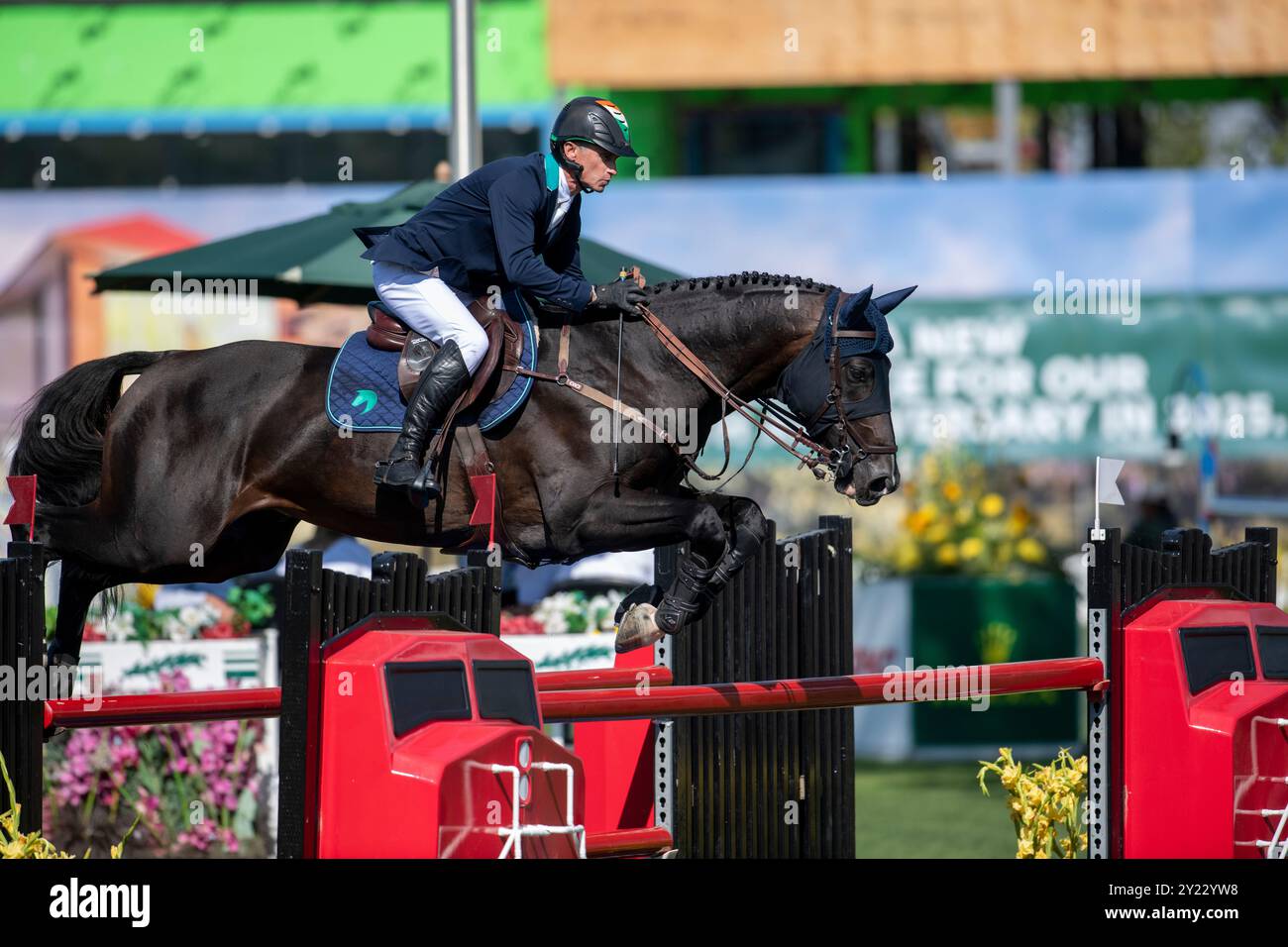 Calgary, Alberta, Canada, 8 settembre 2024. Denis Lynch (IRE) in sella a Vistogrand, CSIO Spruce Meadows Masters, - CPKC International Grand Prix presentato da Rolex - credito: Peter Llewellyn/Alamy Live News Foto Stock