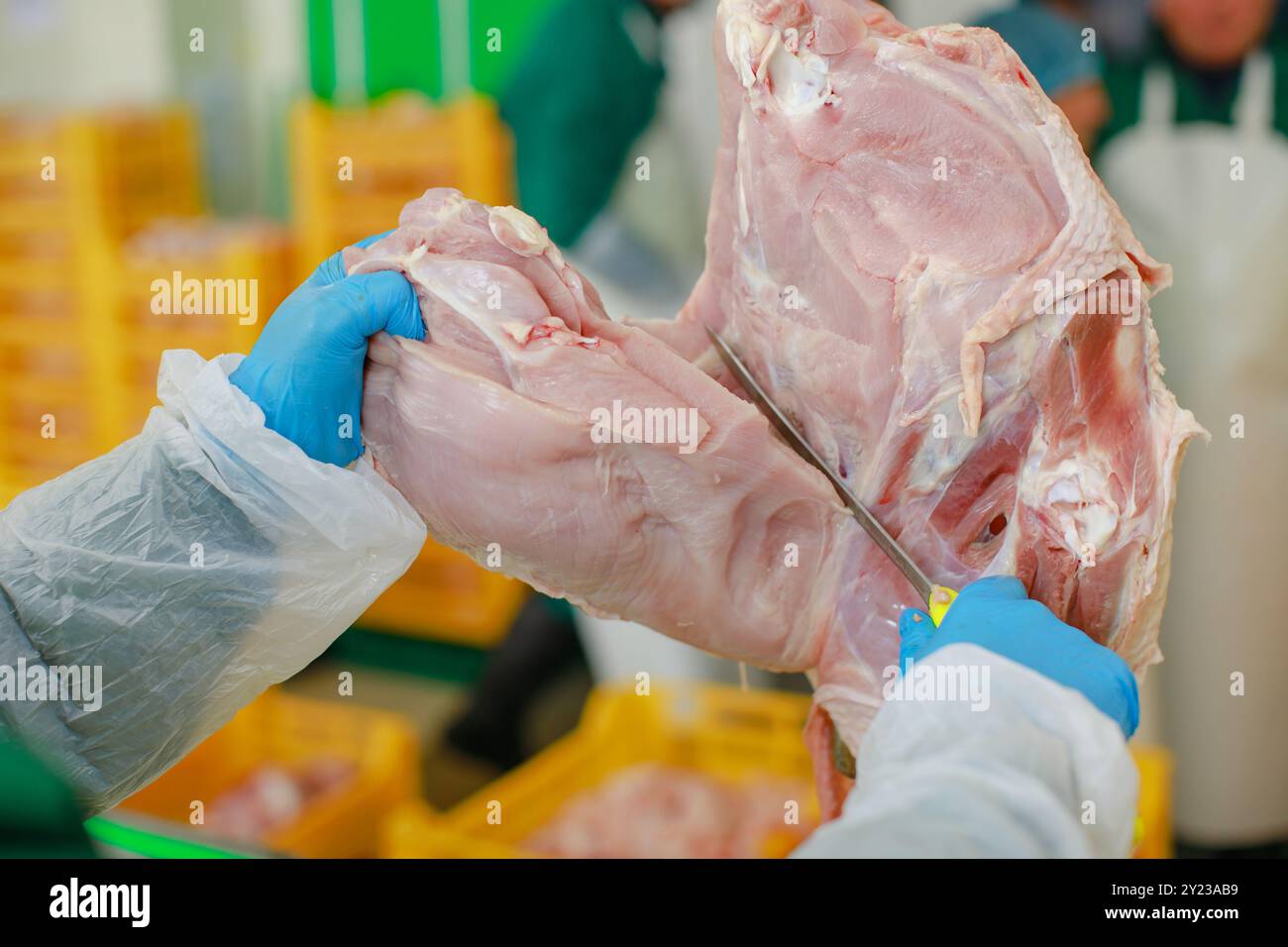 processo di produzione della turchia, allevamento di pollame di tacchino, tagli di carne di pollame da parte dei lavoratori Foto Stock