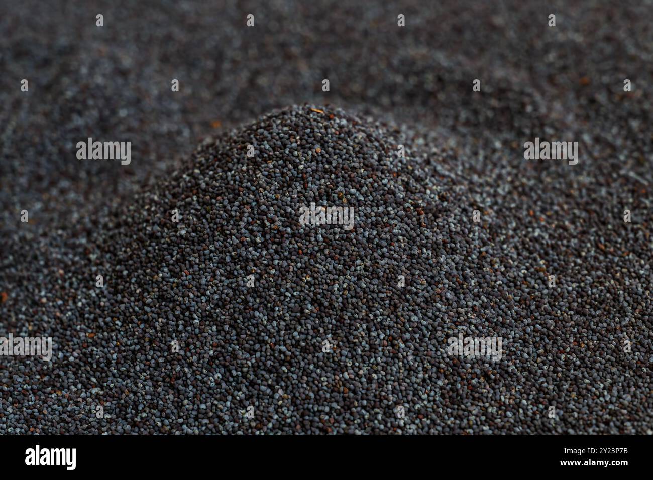 Pelo di semi di papavero, consistenza di semi crudi di Papaver somniferum, focalizzazione selettiva Foto Stock