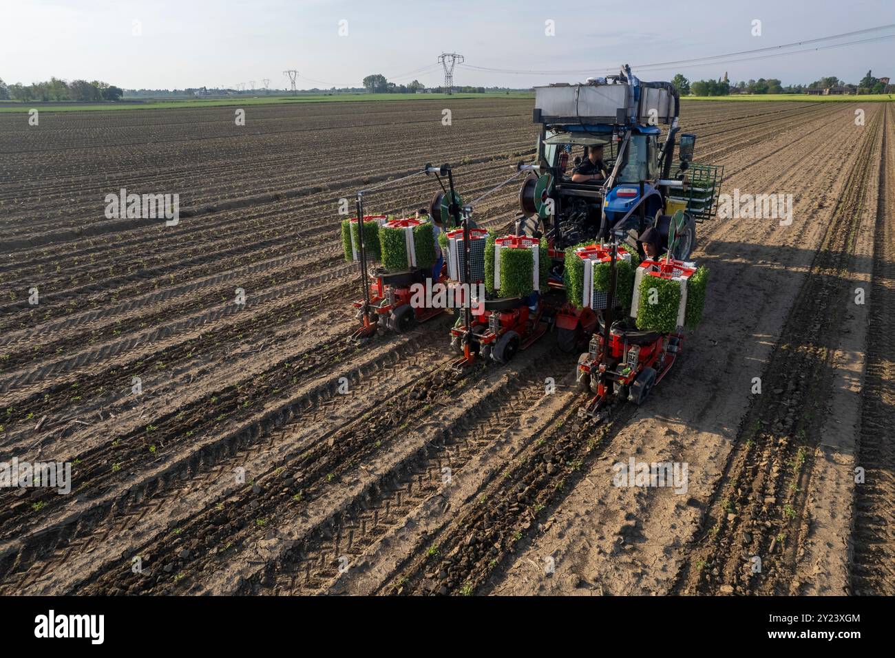 Piacenza, Italia - 22 aprile 2024 gli agricoltori piantano un pomodoro con una piantatrice automatica in un campo. La macchina viene tirata da un tr blu Foto Stock