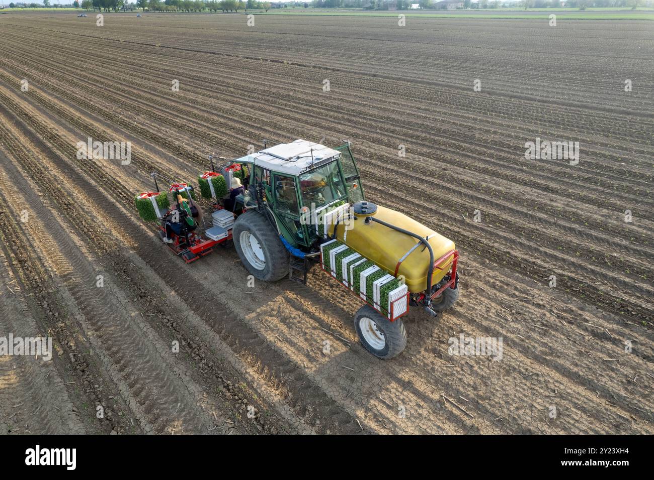 Vista aerea di piantine di pomodori piantate da trattori in un vasto campo, che fondono tecnologia e tradizione agricola. Scorcio affascinante dell'agricoltura italiana Foto Stock