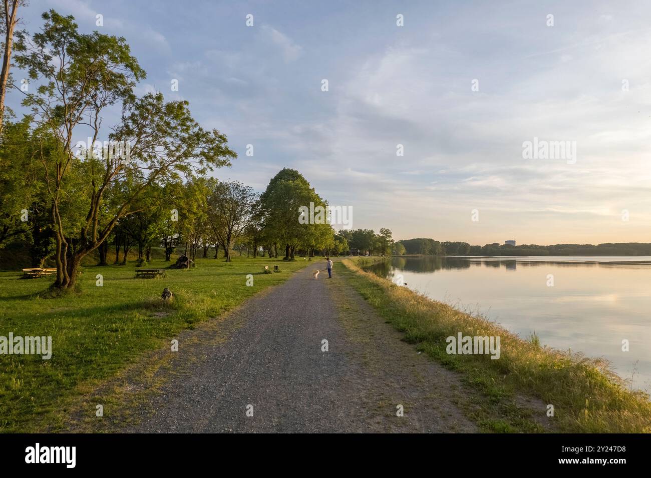 Tre persone camminano felici con i loro cani lungo un fiume tranquillo al tramonto, circondato da vegetazione lussureggiante e acque calme Foto Stock