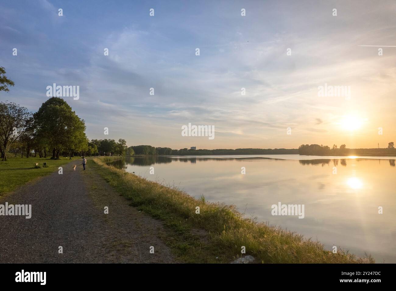 Tre persone camminano felici con i loro cani lungo un fiume tranquillo al tramonto, circondato da vegetazione lussureggiante e acque calme Foto Stock
