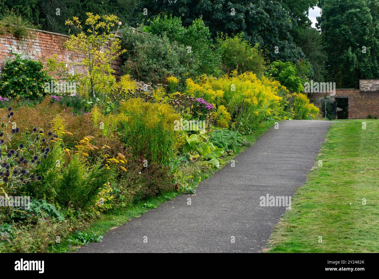 Colorato confine floreale a settembre nel giardino murato, Delapre Abbey, Northampton, Regno Unito Foto Stock