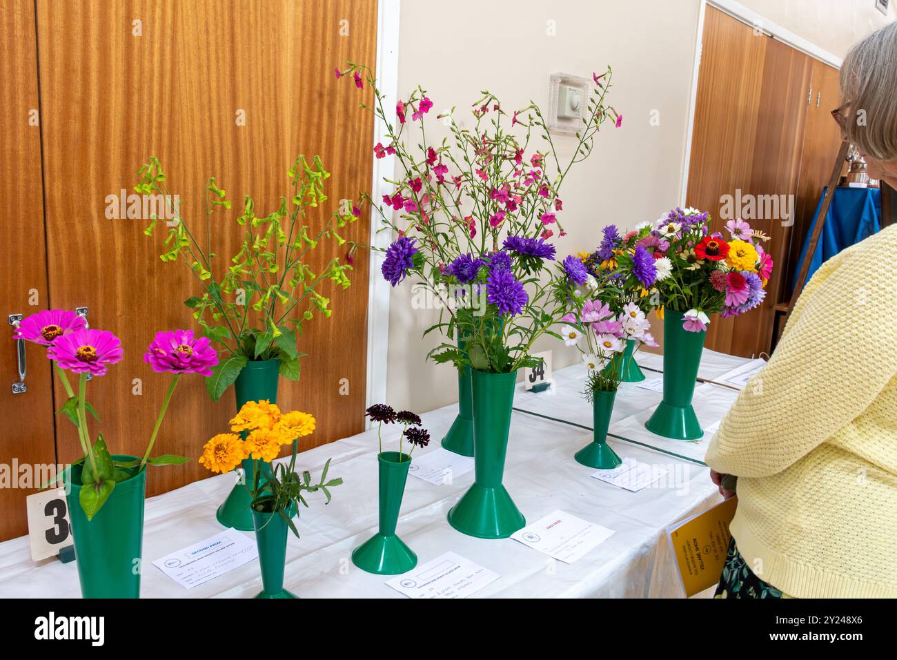 Mostra del villaggio nella Old Basing Village Hall, Hampshire, Inghilterra, Regno Unito, nel settembre 2024. Mostra di fiori, fiori, partecipazione al concorso Foto Stock