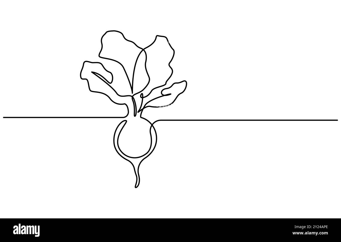 Barbabietola con disegno a linea continua stile barbabietola. Schizzo lineare nero di barbabietola da giardino isolato su sfondo bianco. Un disegno a linea continua Illustrazione Vettoriale