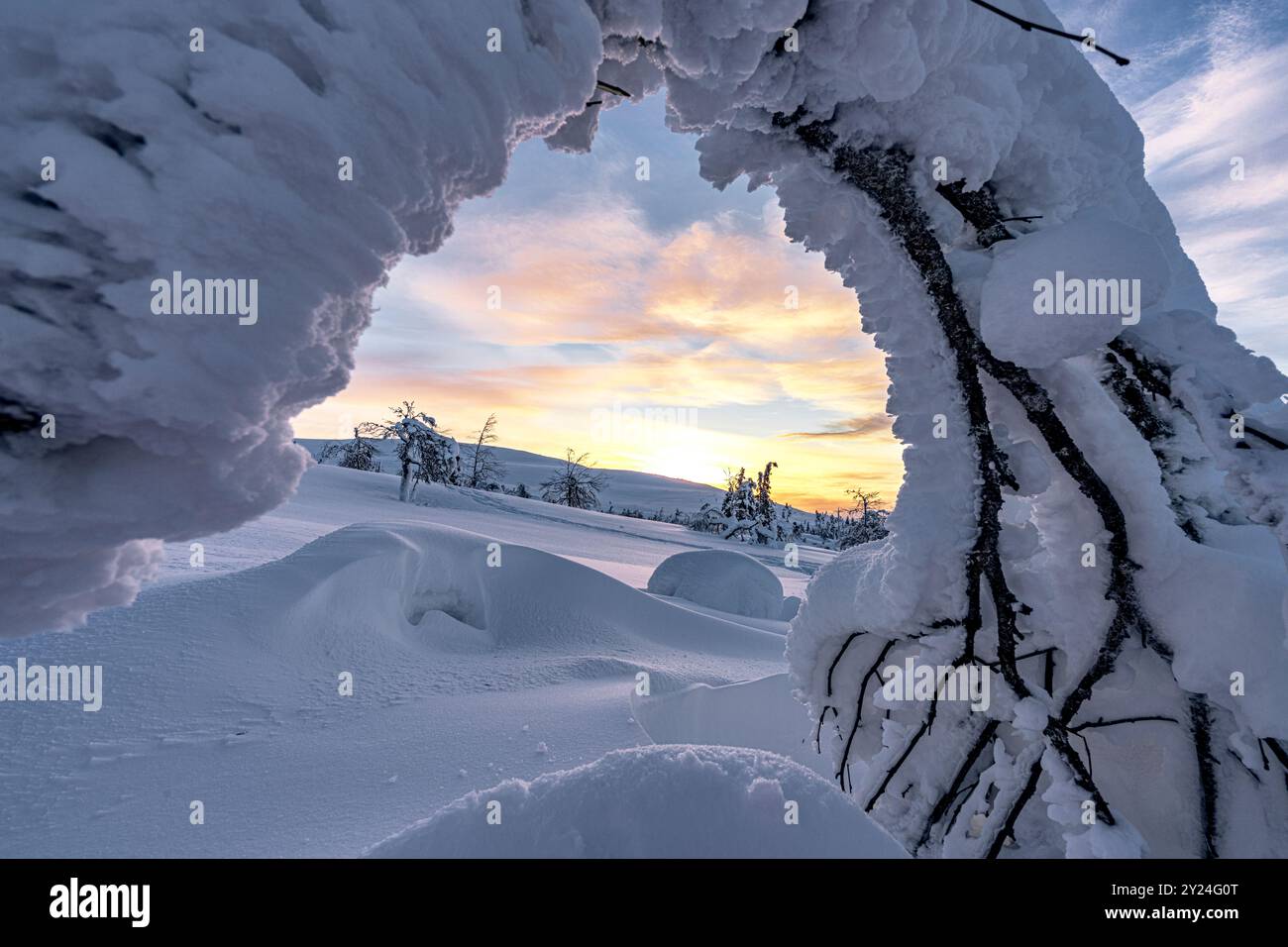Sculture di ghiaccio avvolte nella neve, Lapponia finlandese Foto Stock