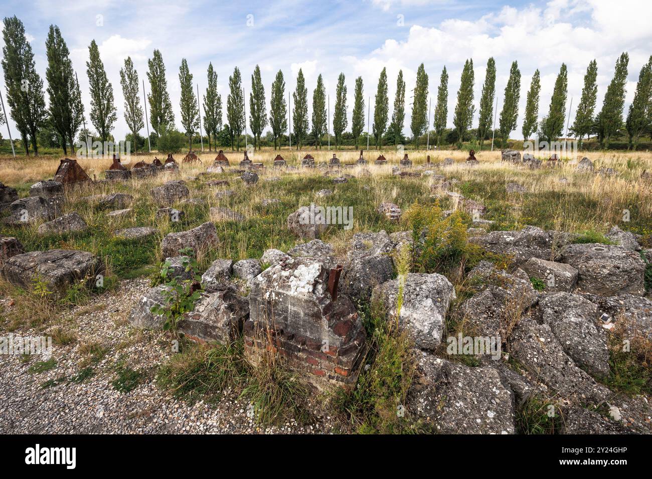 Campo di detriti (Truemmerfeld) presso l'accademia di formazione continua Mont-Cenis a Herne, zona della Ruhr, Renania settentrionale-Wetsphalia, Germania. Reliquie del vecchio Mon Foto Stock